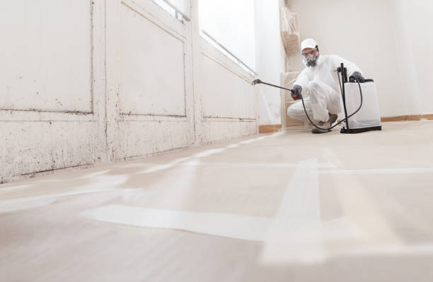 24/7 Emergency Commercial Mold Remediation experts in Allendale, MI